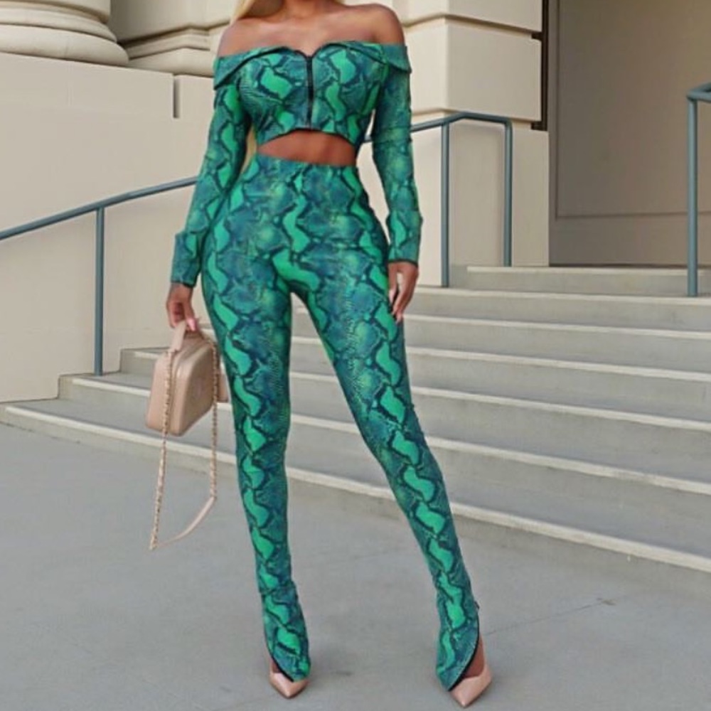Two Piece snake skin pants set